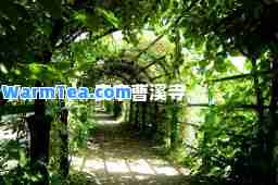 安宁曹溪寺