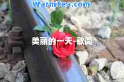 美丽的-歌词