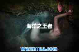 海洋之王者