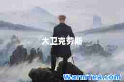 大卫克劳斯