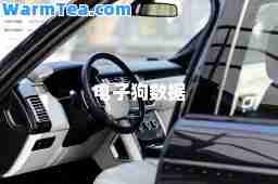 电子狗数据
