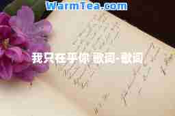 我只在乎你 歌词-歌词
