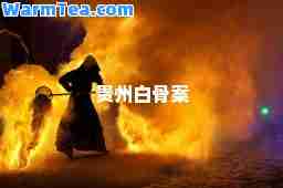 贵州白骨案