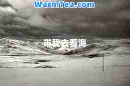 带我去看海