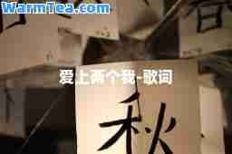 爱上两个我-歌词