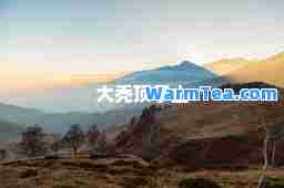 大秃顶子山