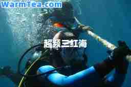 超频三红海