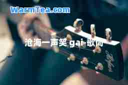 沧海一声笑 gai-歌词