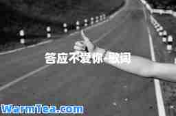 答应不爱你-歌词