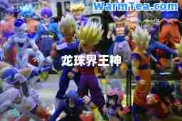龙珠界王