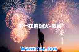不一样的烟火-歌词