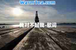 我对不起我-歌词