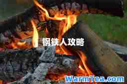 钢铁人攻略