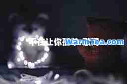不在让你孤单-歌词