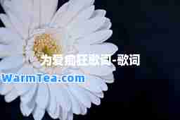 为爱痴狂歌词-歌词