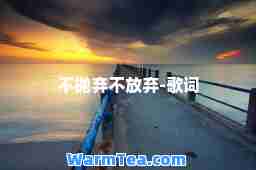 不抛弃不放弃-歌词