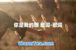 你是我的眼 歌词-歌词