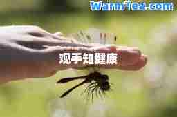 观手知健康