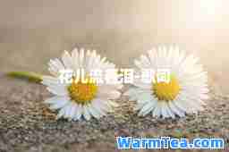 花儿流着泪-歌词