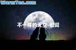 不一样的天空-歌词