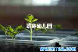 萌芽幼儿园