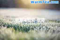 秋意浓歌词-歌词