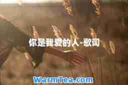 你是我爱的人-歌词