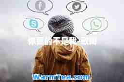 你要的不是我-歌词