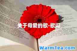 关于母爱的歌-歌词