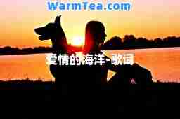 爱情的海洋-歌词