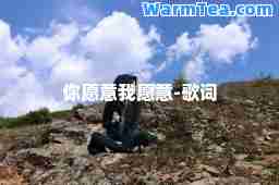 你愿意我愿意-歌词