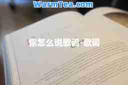 你怎么说歌词-歌词