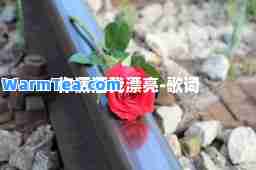 你潇洒我漂亮-歌词