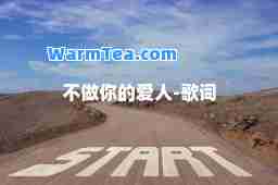 不做你的爱人-歌词