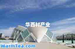 华西村产业