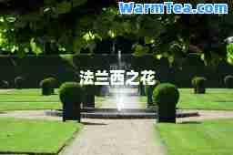 法兰西之花