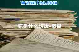 你是什么垃圾-歌词