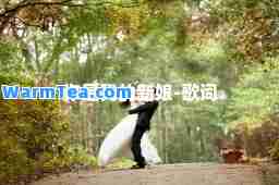 你是我的新娘-歌词