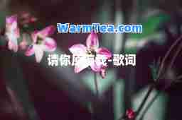 请你原谅我-歌词