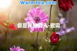 你是我的爱人-歌词