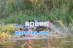 海口动物园