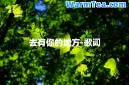 去有你的地方-歌词