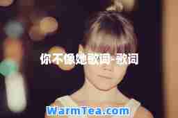 你不像她歌词-歌词