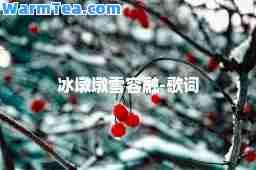 冰墩墩雪容融-歌词