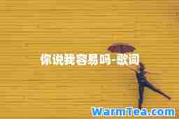 你说我容易吗-歌词