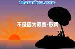 不是因为寂寞-歌词