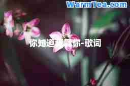 你知道我爱你-歌词