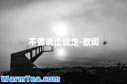不要说走就走-歌词