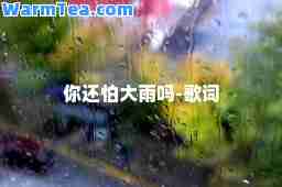 你还怕大雨吗-歌词