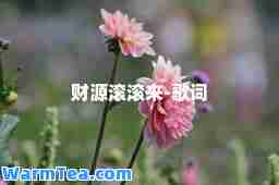财源滚滚来-歌词